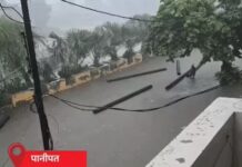 हरियाणा में मानसून फिर सक्रिय, 11 जिलों में बारिश; पानीपत में जलभराव, कुरुक्षेत्र में लेंटर गिरने से दंपती की मौत Haryana Weather