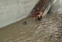 बारिश और जलभराव पर सोशल मीडिया में घिरा गुरुग्राम, लोगों ने वीडियो बनाकर निकाली नाराजगी Gurugram Rain