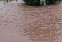 मारकंडा नदी फिर उफान पर, कठवा-तंगौर के खेत जलमग्न; हिमाचल की बारिश से बढ़ सकती है परेशानी Kurukshetra News