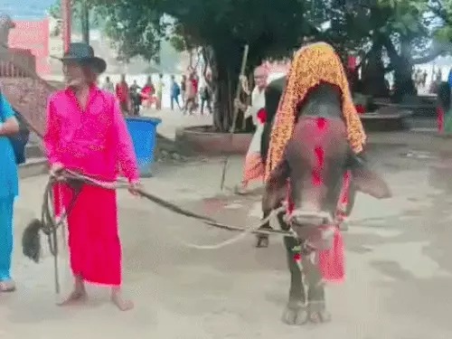 Kanwar Yatra