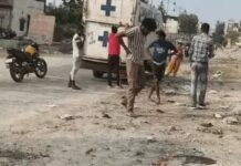 रेवाड़ी में पशु पकड़ने की कार्रवाई का विरोध, कर्मचारियों से जबरन छुड़ाए जा रहे पशु; प्रशासन सख्त Rewari News