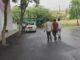 रेवाड़ी में 10 हजार की रिश्वत लेते पटवारी रंगे हाथ गिरफ्तार, जमीन रिकॉर्ड और इंतकाल के नाम पर मांगी थी रकम Rewari News