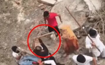 हरियाणा में दिल्ली के युवकों पर हमला, कमरे में बंद कर लाठी-फावड़े बरसाए; 23 गिरफ्तार Haryana News