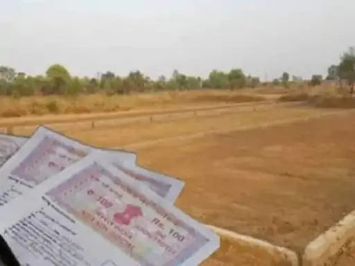 Panipat News