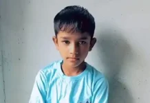 कैथल में कोबरा के डंसने से दो मासूमों की मौत, एक बिस्तर तो दूसरा फर्श पर सो रहा था Kaithal News