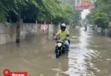 हरियाणा में भारी बारिश से जनजीवन अस्त-व्यस्त, रोहतक-फरीदाबाद में जलभराव; फतेहाबाद में छत गिरने से मां-बेटा दबे Haryana Rain
