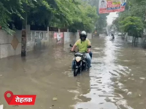 Haryana Rain