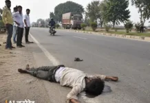 पलवल में एक्सप्रेसवे पर खड़े ट्रक को ट्राले ने मारी टक्कर, ड्राइवर की मौत Palwal News