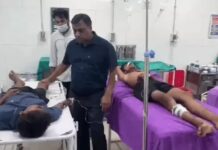 कैथल में हरिद्वार से सिरसा लौट रही कांवड़ियों से भरी पिकअप पेड़ से टकरा गई। हादसे में 6 कांवड़िए घायल हुए, जबकि 3 को अस्पताल में भर्ती कराया गया है। Kaithal News