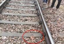 रेवाड़ी में रेलवे ट्रैक पर मिली कटी हथेली का खुलासा, ट्रेन की चपेट में आया था युवक Rewari News