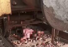भिवानी में ट्रेन की चपेट में आने से व्यक्ति की मौत, GRP ने शुरू की पहचान और जांच Bhiwani News