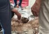 नारनौल में घर का फर्श अचानक तपने लगा, ठंडा पानी भी खौलने जैसी स्थिति में पहुंचा Narnaul