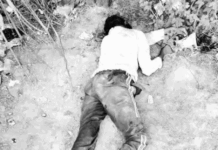 रोहतक में शराब पीने के दौरान विवाद बना जानलेवा, युवक के सिर पर ईंट से हमला; मौत Rohtak News