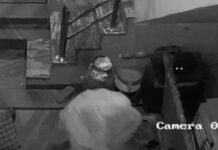 फरीदाबाद में दो बच्चों से मारपीट का CCTV सामने आया, दादा ने पुलिस को दी शिकायत Faridabad News