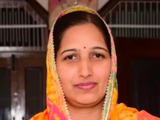 Bahadurgarh Property ID