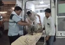 बहादुरगढ़ में KMP पर श्रद्धालुओं की पिकअप को कैंटर ने मारी टक्कर, 2 की मौत और दो दर्जन से ज्यादा घायल; गोगामेड़ी से लौट रहे थे KMP Expressway Accident