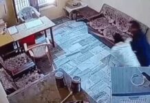 फतेहाबाद की जनता धर्मशाला में शटर पर पेंट कराने को लेकर विवाद, दुकानदार और मैनेजर में हाथापाई; CCTV में कैद घटना Fatehabad News