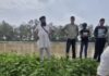करनाल की नहर में 20 मिनट के अंतराल में मिले दो शव, एक की पहचान बैंक कर्मचारी के रूप में; दूसरे की शिनाख्त बाकी Karnal News