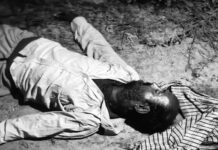 रोहतक में मछली पालन का काम करने वाले युवक की हत्या, दोस्त पर आरोप; वारदात के बाद फरार Rohtak Murder Case