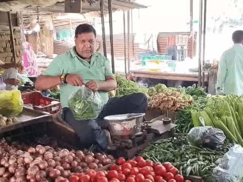 Haryana Vegetable Prices