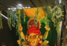 सोनीपत के फैज बाजार में विराजे 14 फीट के इको-फ्रेंडली गणपति, 11 दिन चलेगा उत्सव; रोज 51 किलो लड्डुओं का भोग Sonipat Ganpati Festival