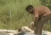 यमुनानगर में ट्रैक्टर-ट्रॉली में मिले युवक की मौत का मामला गहराया, पोस्टमॉर्टम में अंदरूनी चोटें; 4 पर हत्या का केस Yamunanagar Arun Death Case