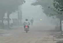 हरियाणा में बारिश से दिन का तापमान गिरा, आज छह जिलों में बरसात की संभावना Haryana Weather