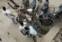 दिल्ली में छात्र की बाइक मांगने पर रोहतक STF टीम से विवाद, युवक ने हाथापाई का आरोप लगाया Delhi