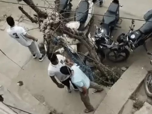 Delhi