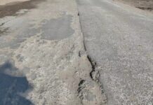 रेवाड़ी में 6 साल से अटकी फोरलेन सड़क का रास्ता साफ, 110 पेड़ हटाने की मिली मंजूरी; ₹22 करोड़ से बनेगा 1500 मीटर हिस्सा Rewari Four Lane Road