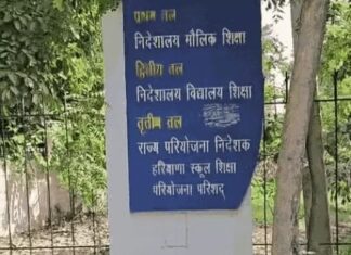 हरियाणा के नव-पदोन्नत प्रिंसिपल्स की 12 दिन की ट्रेनिंग अनिवार्य, 14 सितंबर से पहला बैच; 7 जिलों को बुलावा Haryana School Principals