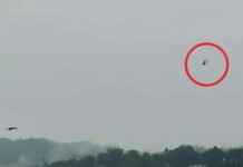 हथिनीकुंड बैराज के पास यमुना में सेना की बोट डूबी, 2 जवान लापता; 3 को बचाया, 15 KM क्षेत्र में सर्च ऑपरेशन Hathnikund Barrage