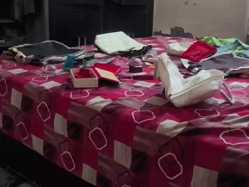 Faridabad Theft