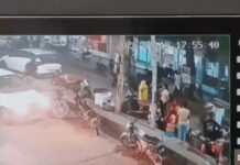 सिरसा में पालतू ‘जेरी’ लापता, परिवार ने रखा ₹25 हजार इनाम; CCTV में स्कूटी पर ले जाते दिखे दो लोग Sirsa Missing Dog