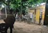 फरीदाबाद में शराब के पूरे पैसे मांगने पर सेल्समैनों से मारपीट, साथियों संग लौटे युवकों पर हमले का आरोप; VIDEO आया सामने Faridabad News