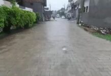 हरियाणा में फिर सक्रिय मानसून, 6 जिलों में बारिश का यलो अलर्ट; यमुनानगर में भारी बारिश-बिजली गिरने की चेतावनी Haryana Weather