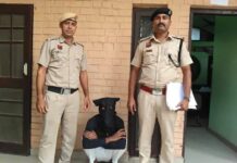 बरवाला में घर से मोबाइल व बैंक दस्तावेज चोरी का आरोपी गिरफ्तार Barwala Theft Case