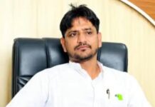 कैथल के धनौरी में हरे पेड़ काटकर बेचने का आरोप, सरपंच गिरफ्तार; तीन लोगों पर दर्ज है केस Kaithal News