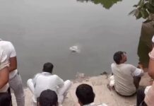 नांगल चौधरी के जोहड़ में मिला पूर्व सरपंच मालाराम चौधरी का शव, सुरक्षा पर उठे सवाल; ग्रामीणों ने मांगी रेलिंग-तारबंदी Narnaul News