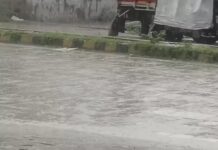 हरियाणा में आज बारिश का यलो अलर्ट, 17 सितंबर तक बरसेंगे बादल; 15 से फिर बढ़ेगी मानसून की सक्रियता Haryana Weather