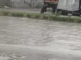 हरियाणा में आज बारिश का यलो अलर्ट, 17 सितंबर तक बरसेंगे बादल; 15 से फिर बढ़ेगी मानसून की सक्रियता Haryana Weather