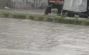 हरियाणा में आज बारिश का यलो अलर्ट, 17 सितंबर तक बरसेंगे बादल; 15 से फिर बढ़ेगी मानसून की सक्रियता Haryana Weather