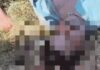 रोहतक में दोस्तों संग नहर में नहाने गया 23 वर्षीय युवक डूबा, रातभर चला सर्च ऑपरेशन; काहनौर हेड के पास मिला शव Rohtak Canal Accident
