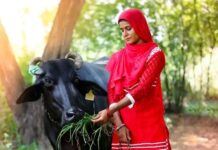 झज्जर में पशुधन ऋण की वसूली का आदेश, महिला को 1.44 लाख रुपये के साथ ब्याज और मुकदमे का खर्च देना होगा Jhajjar News