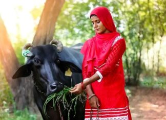 झज्जर में पशुधन ऋण की वसूली का आदेश, महिला को 1.44 लाख रुपये के साथ ब्याज और मुकदमे का खर्च देना होगा Jhajjar News