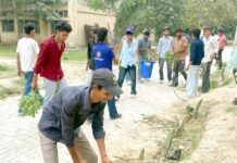 कॉलेज में एनएसएस शिविर आयोजित Safidon News