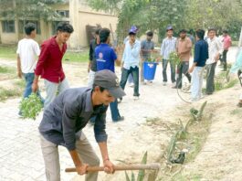 कॉलेज में एनएसएस शिविर आयोजित Safidon News