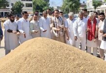 चेयरमैन मोहनलाल बड़ौली ने किया अनाज मंडी का निरीक्षण फसल खरीद एवं उठान प्रक्रिया की ली जानकारी अधिकारियों को दिए आवश्यक दिशा-निर्देश Safidon News