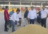 करनाल मंडी में MSP से कम भाव पर धान खरीदने का आरोप, किसानों ने भुगतान व्यवस्था पर उठाए सवाल Karnal News