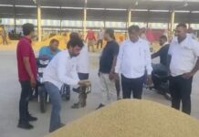 करनाल मंडी में MSP से कम भाव पर धान खरीदने का आरोप, किसानों ने भुगतान व्यवस्था पर उठाए सवाल Karnal News